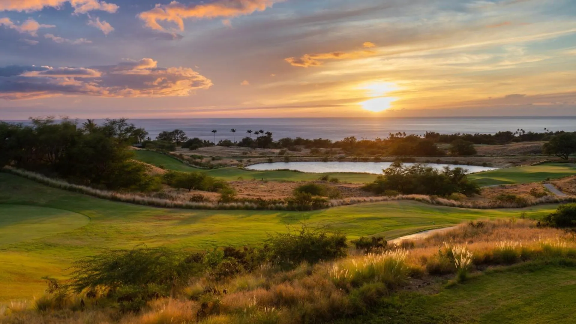 Apartment Sun Ray Retreat Ocean Sunsets Views Optional Mauna Kea Hotel Privileges Waimea  United States