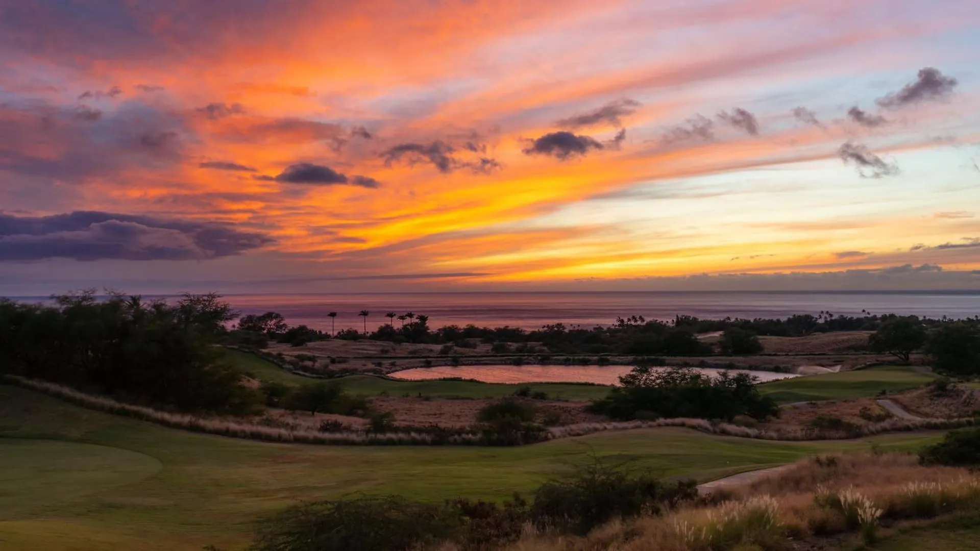Apartment Sun Ray Retreat Ocean Sunsets Views Optional Mauna Kea Hotel Privileges Waimea  United States