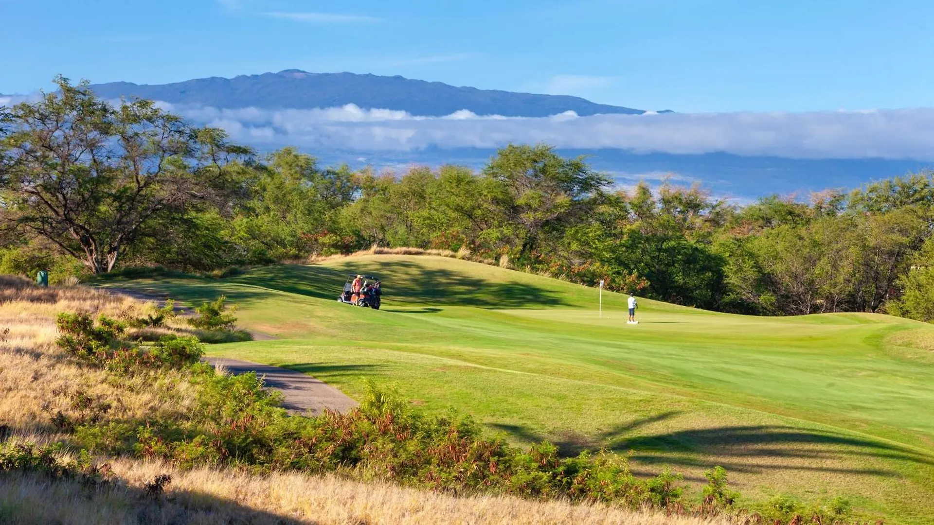 Apartment Sun Ray Retreat Ocean Sunsets Views Optional Mauna Kea Hotel Privileges Waimea