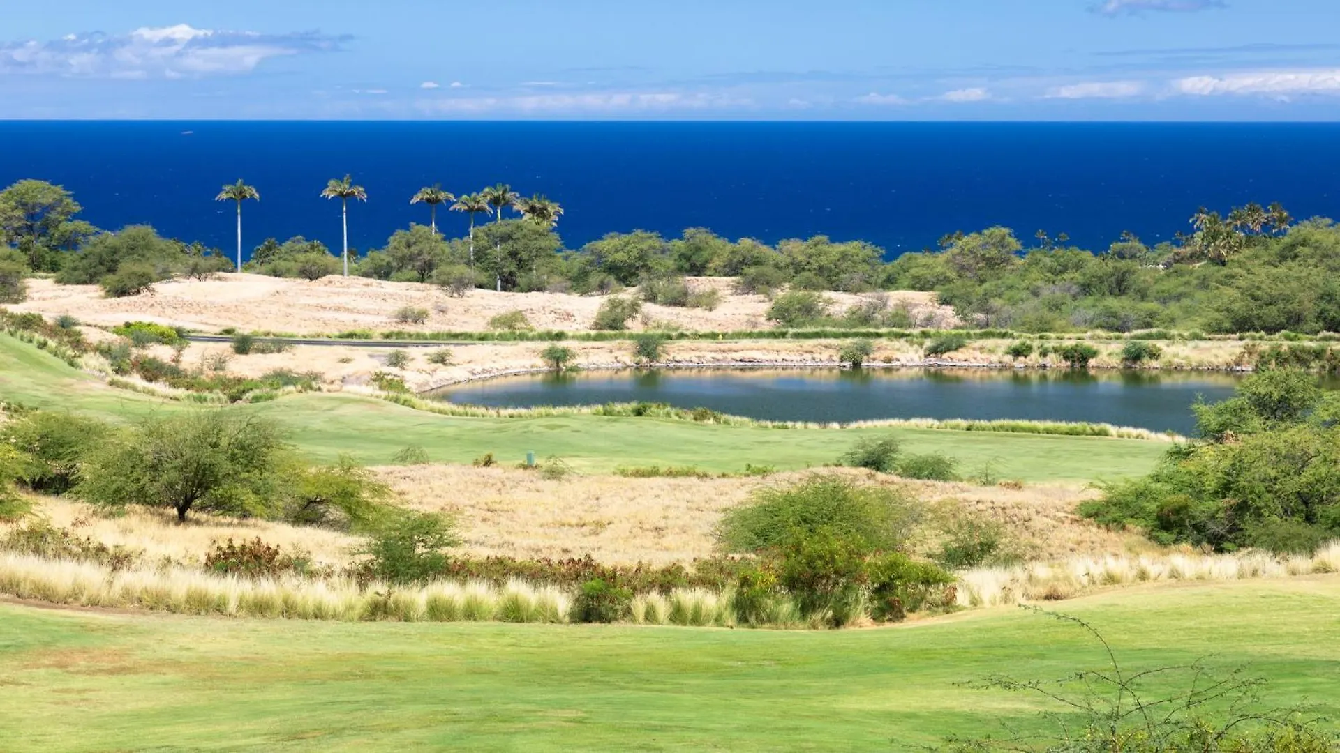 Sun Ray Retreat Ocean Sunsets Views Optional Mauna Kea Hotel Privileges ワイメア 米国