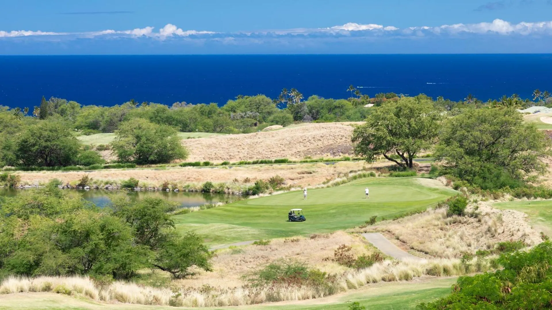 Sun Ray Retreat Ocean Sunsets Views Optional Mauna Kea Hotel Privileges Waimea  Apartment
